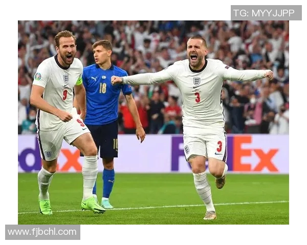 足球明星在赛场外面临的潜在威胁与挑战分析